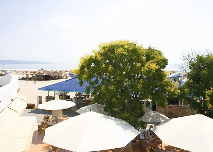 калиопа 3* Албена